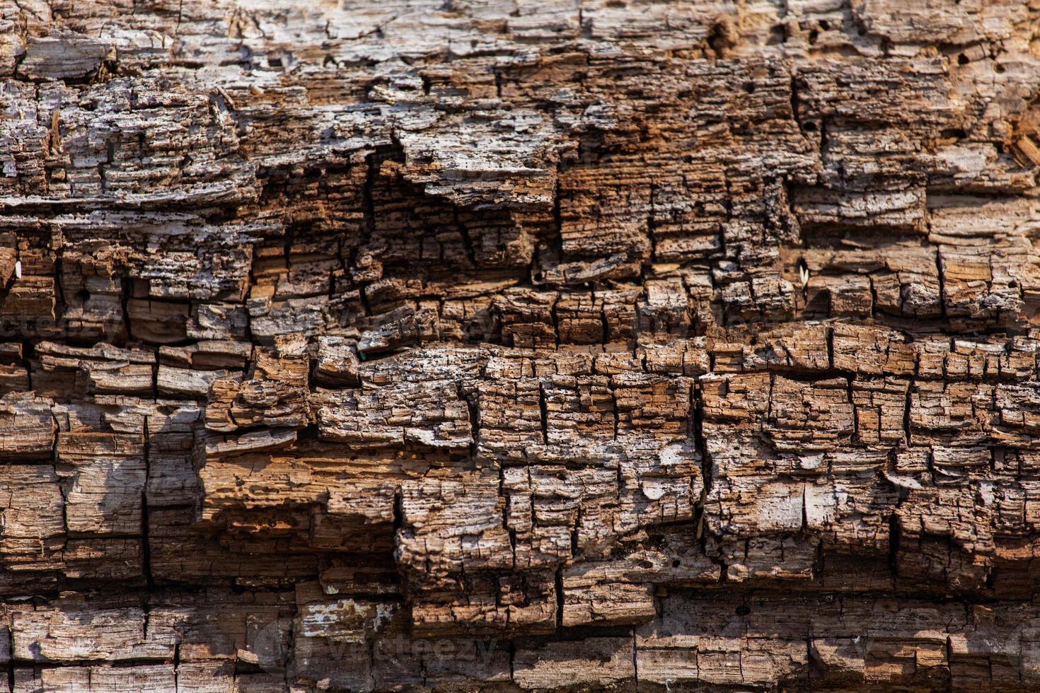 braune alte Holzbeschaffenheit foto