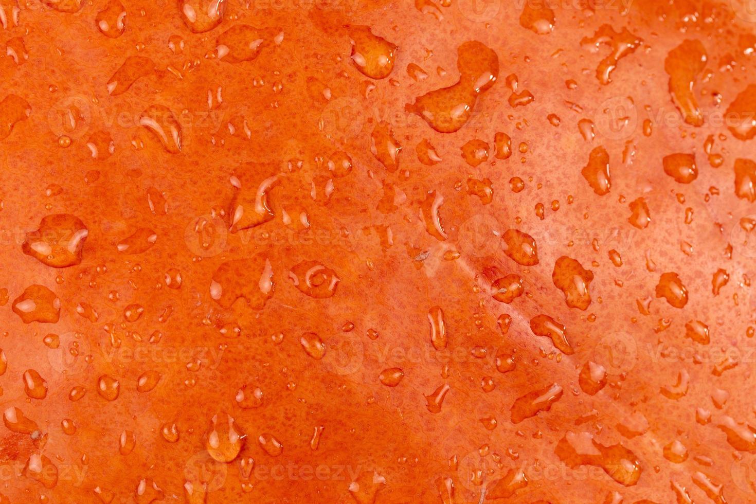 Nahaufnahme abstrakter strukturierter Hintergrund eines orange Kürbises foto