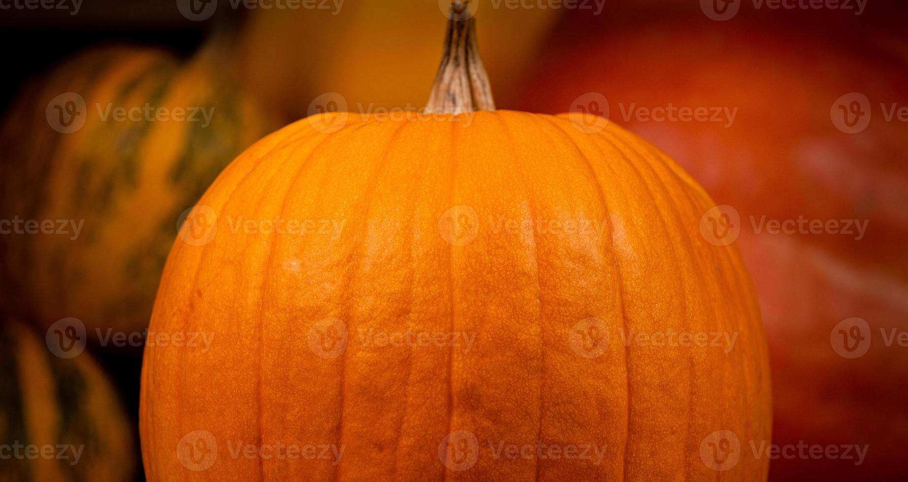 großer orange frischer Kürbis auf Heu foto