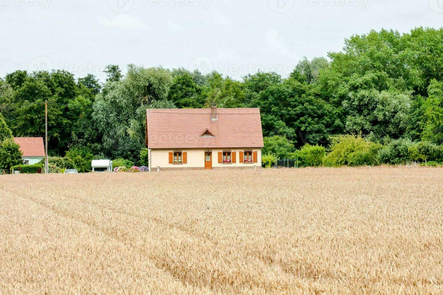 szenisch ländlich Aussicht foto