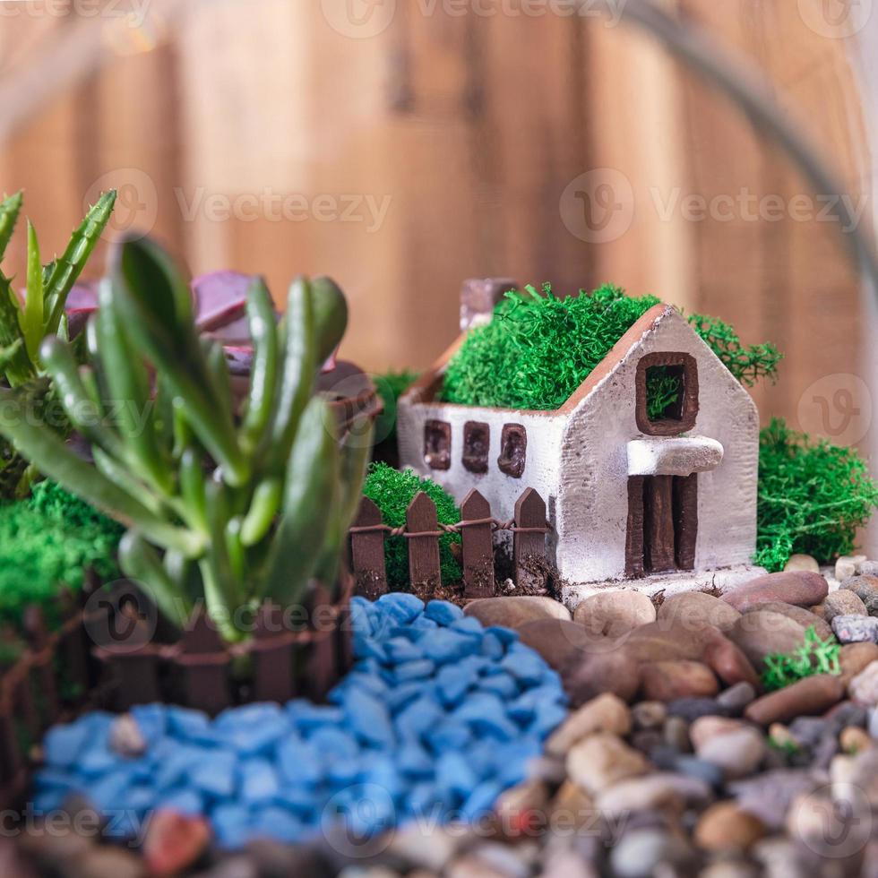 Terrarium Pflanzen Dekor nach Hause hautnah foto