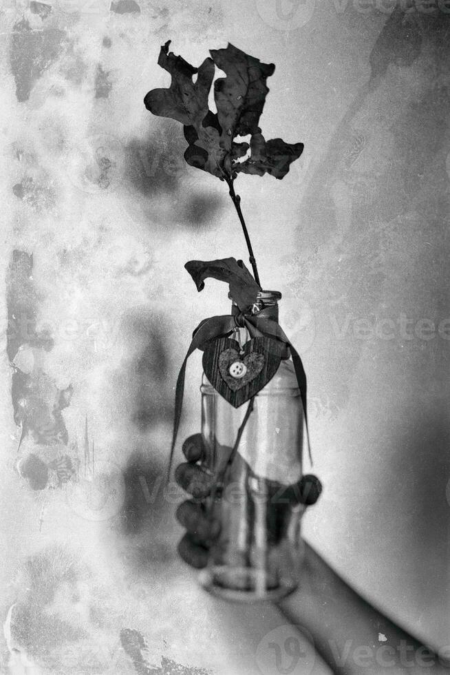 Gelb golden Herbst Eiche Blatt auf ein Ast im ein Glas transparent Vase mit ein Herz gehaltenen im das Hand von ein Kind foto