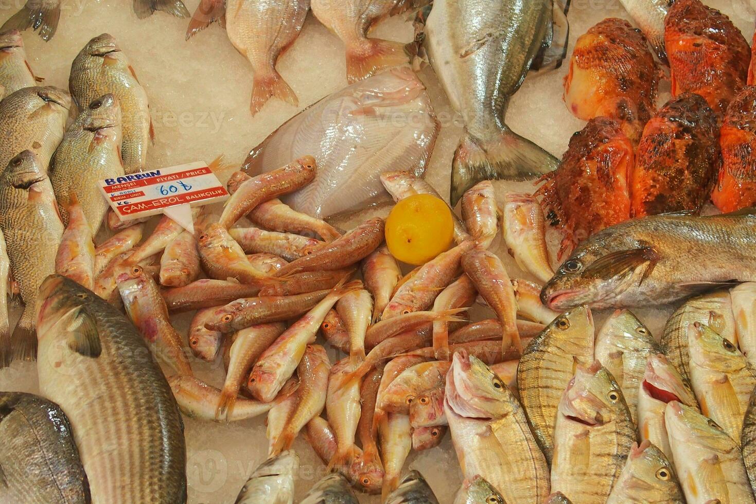 Stall mit verschiedene Typen von Fisch im das Geschäft foto