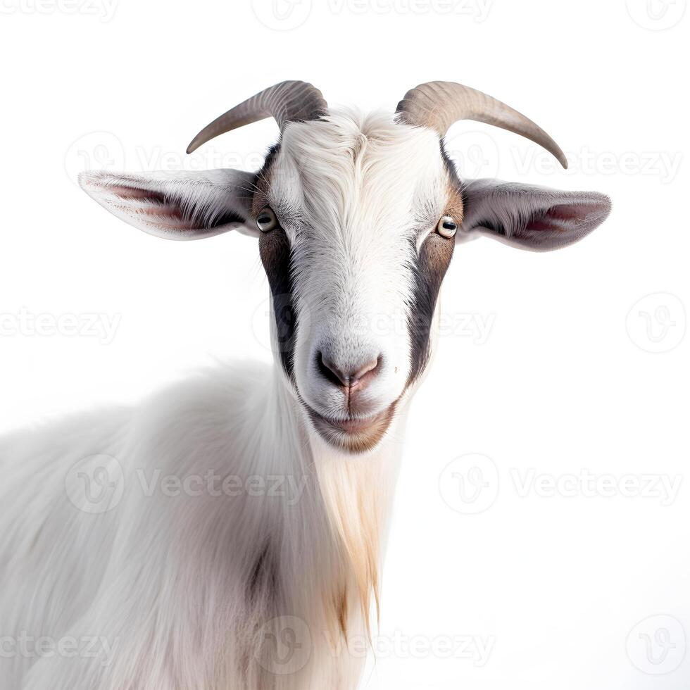 generativ ai Inhalt, Nahansicht Porträt von ein Weiß Ziege mit Hörner. isoliert Objekt auf Weiß Hintergrund foto