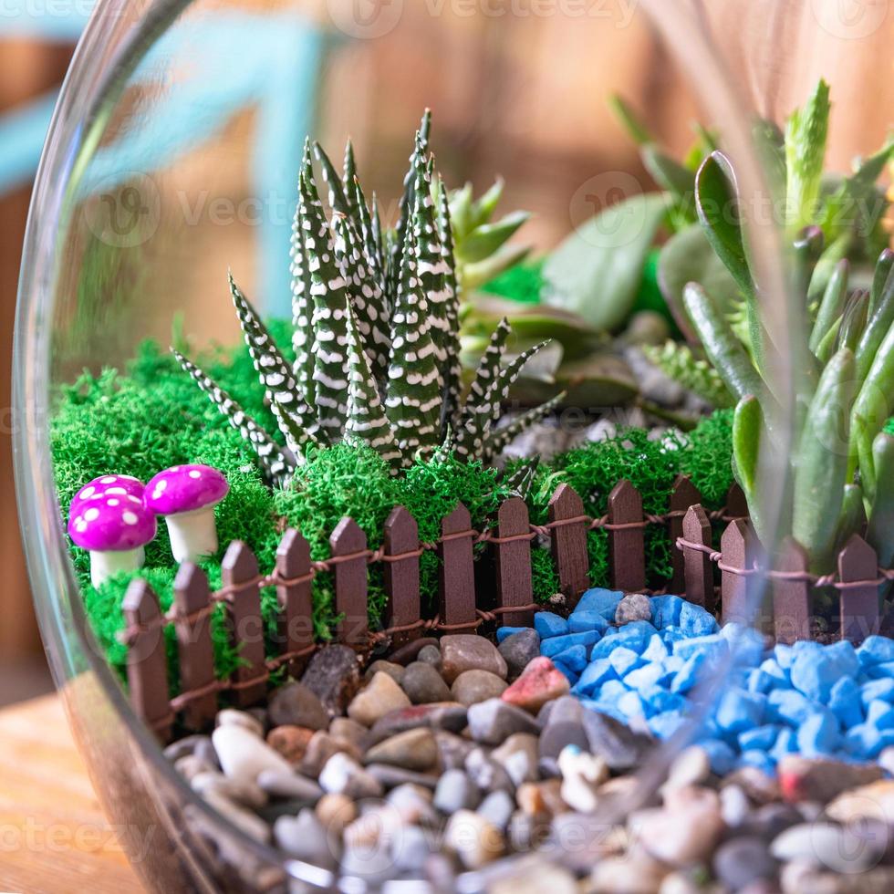 schönes Terrarium mit Kaktusblüte Steinsanddekor kleines Haus im Glas foto