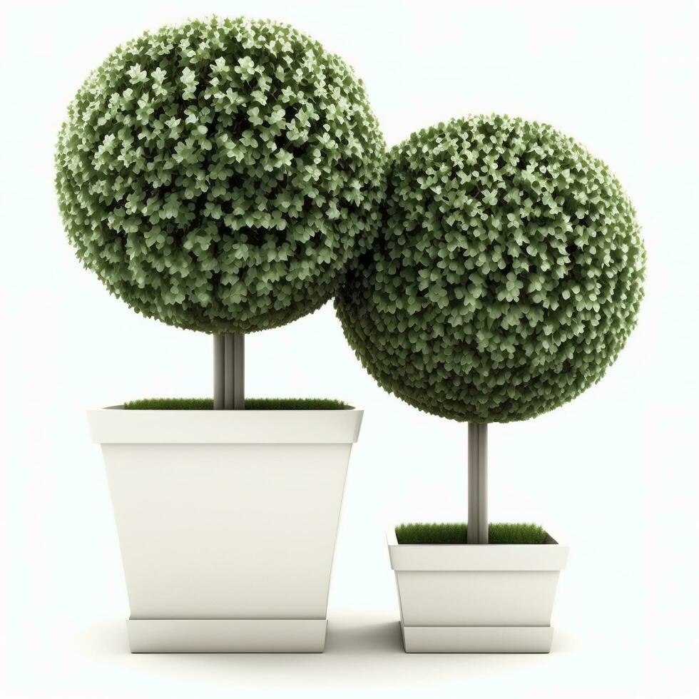 Topiary Bäume im das Topf isoliert auf Weiß Hintergrund. 3d Wiedergabe, 3d Illustration, generieren ai foto