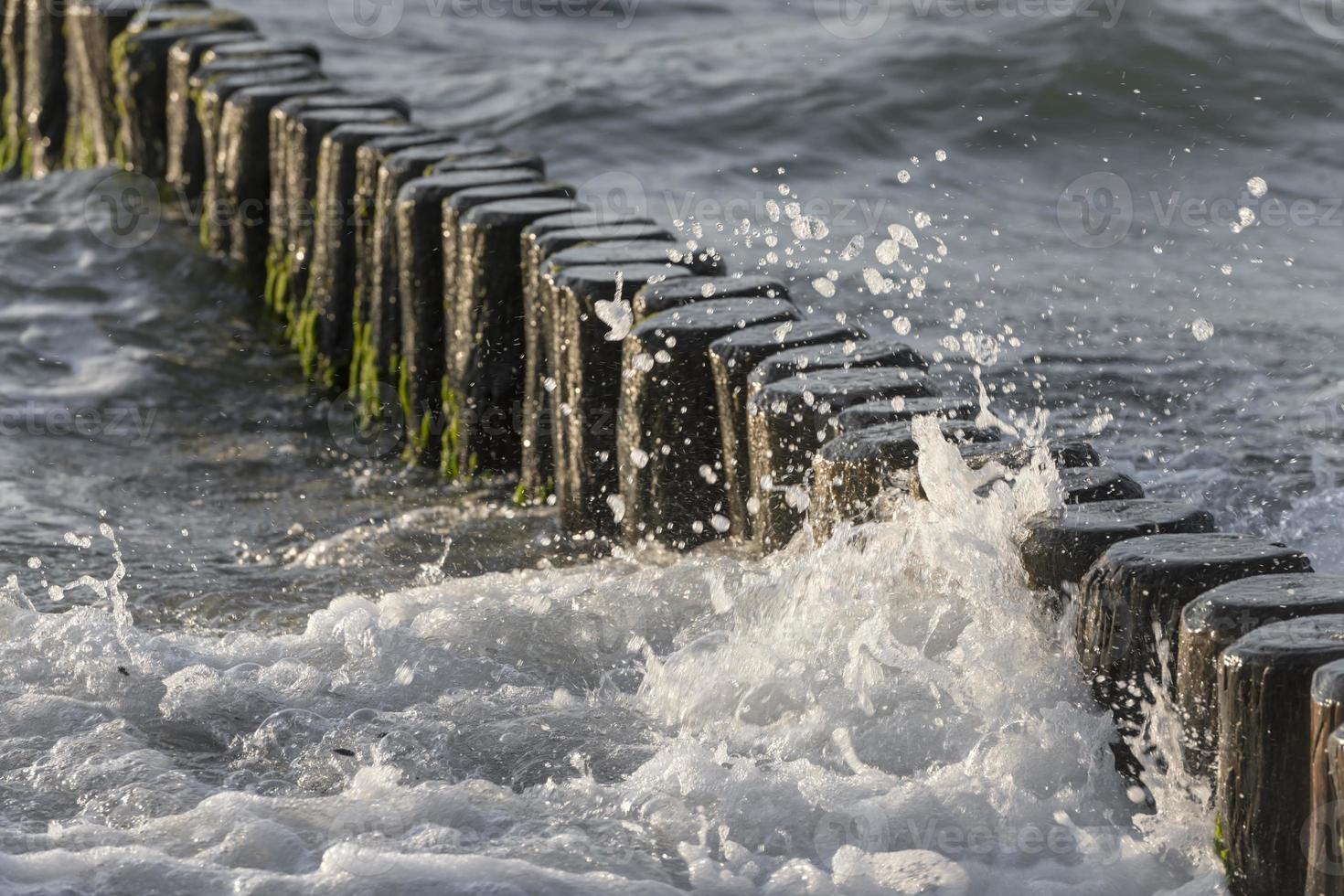 Wellen wuschen sich um Baumstämme an der Ostseeküste im Sand foto