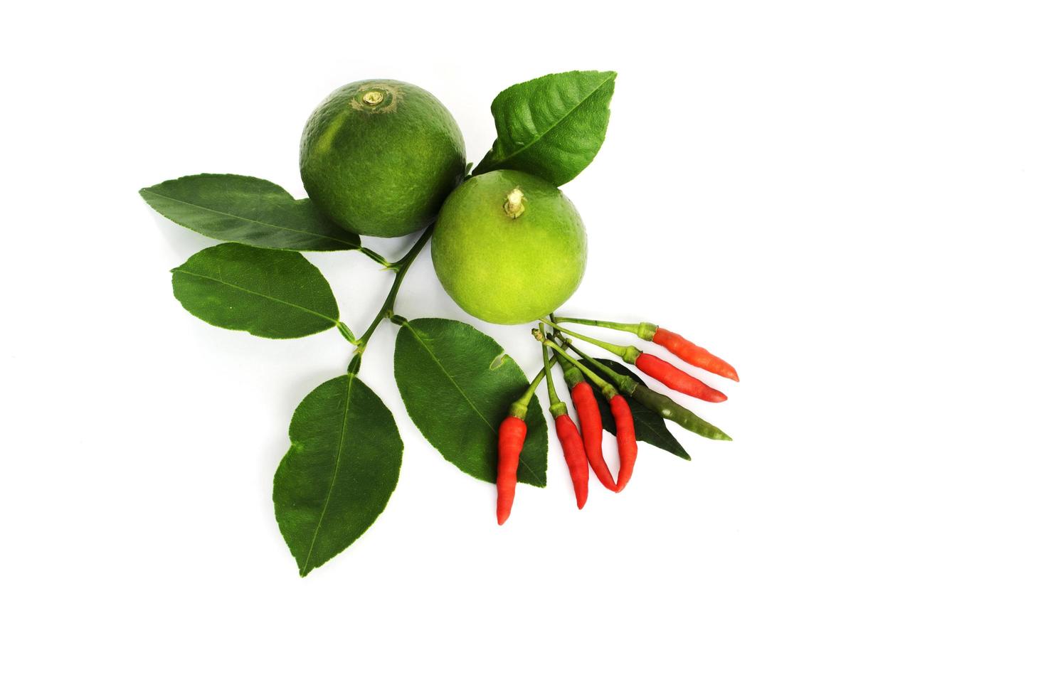 Draufsichten grüne Zitrone und Blätter auf weißem Hintergrund foto