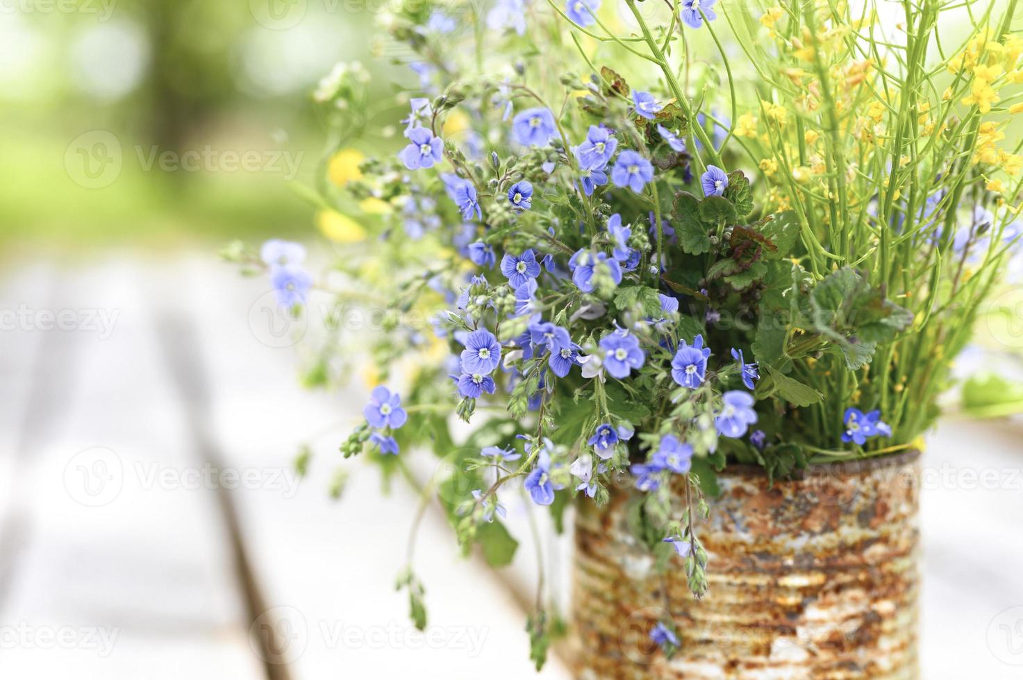 Gänseblümchen wilde Blumen Cottagecore Blumenstrauß blühen foto