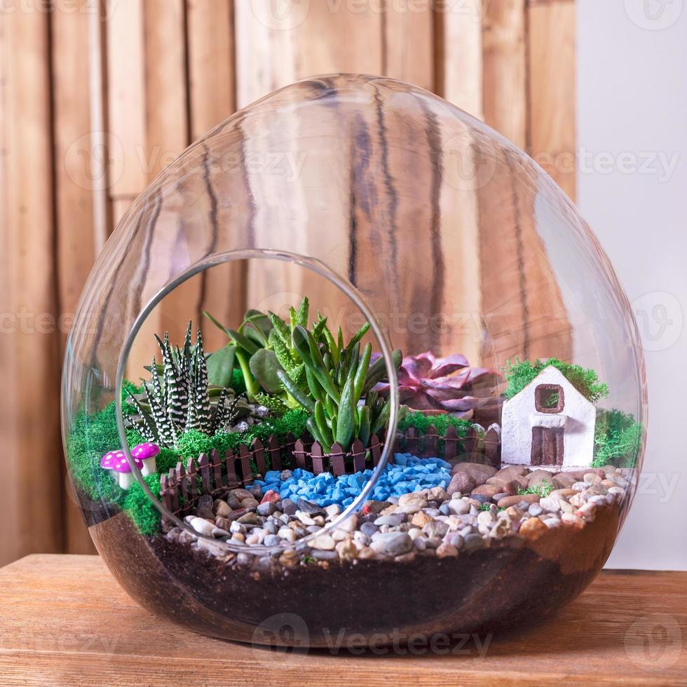 schönes Terrarium mit Kaktusblüte Steinsanddekor kleines Haus im Glas foto