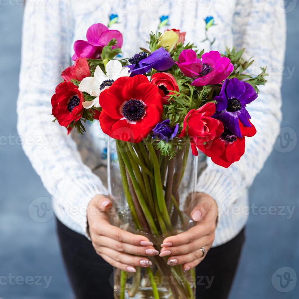 Frau, die roten magentafarbenen rosa Papaver Rhoeas gemeinsamen Mohnblumenstrauß hält foto