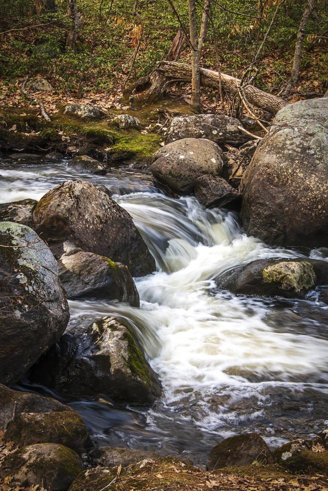 Wasser fließt über Felsen in einem Bach foto