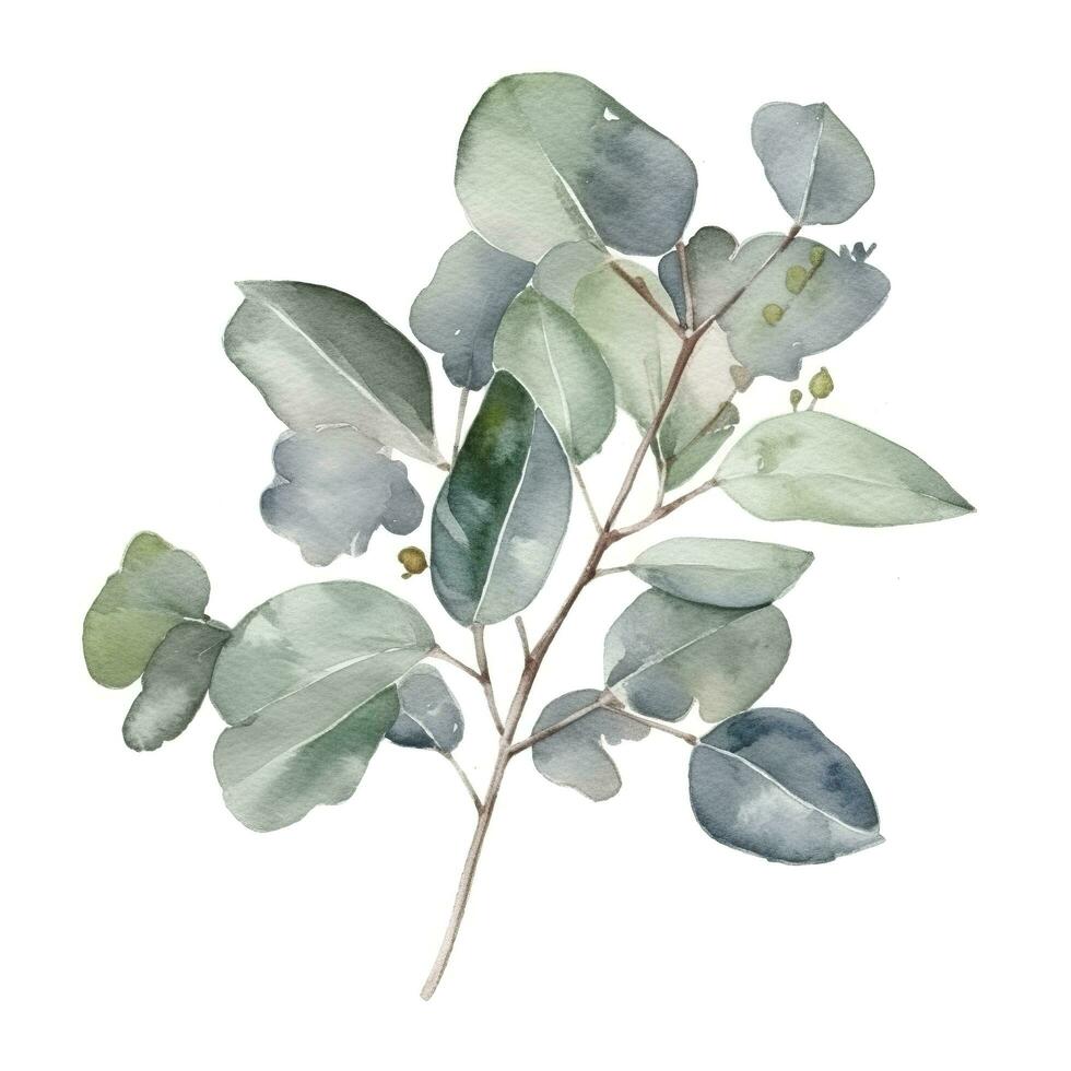 Eukalyptus Ast isoliert auf Weiß Hintergrund. eben legen, oben Sicht. Blumen- Konzept, generieren ai foto