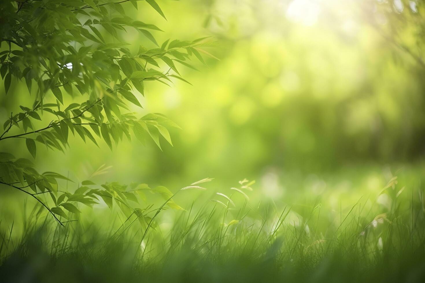 natürlich Grün defokussiert Frühling Sommer- verschwommen Hintergrund mit Sonnenschein. saftig jung Gras und Laub auf Natur im Strahlen von Sonnenlicht, szenisch Rahmen, Kopieren Raum foto