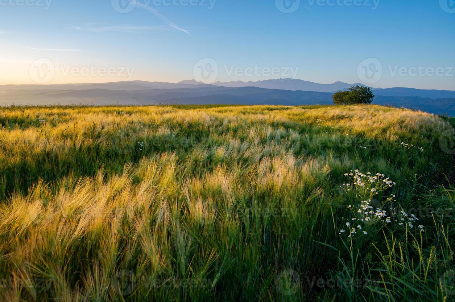 Sonnenaufgang in der Slowakei foto