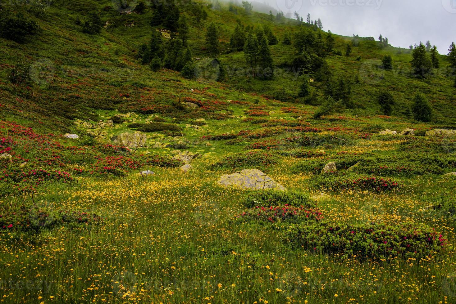 Landschaft in der Nähe des Levico-Sees, Trento, Italien foto