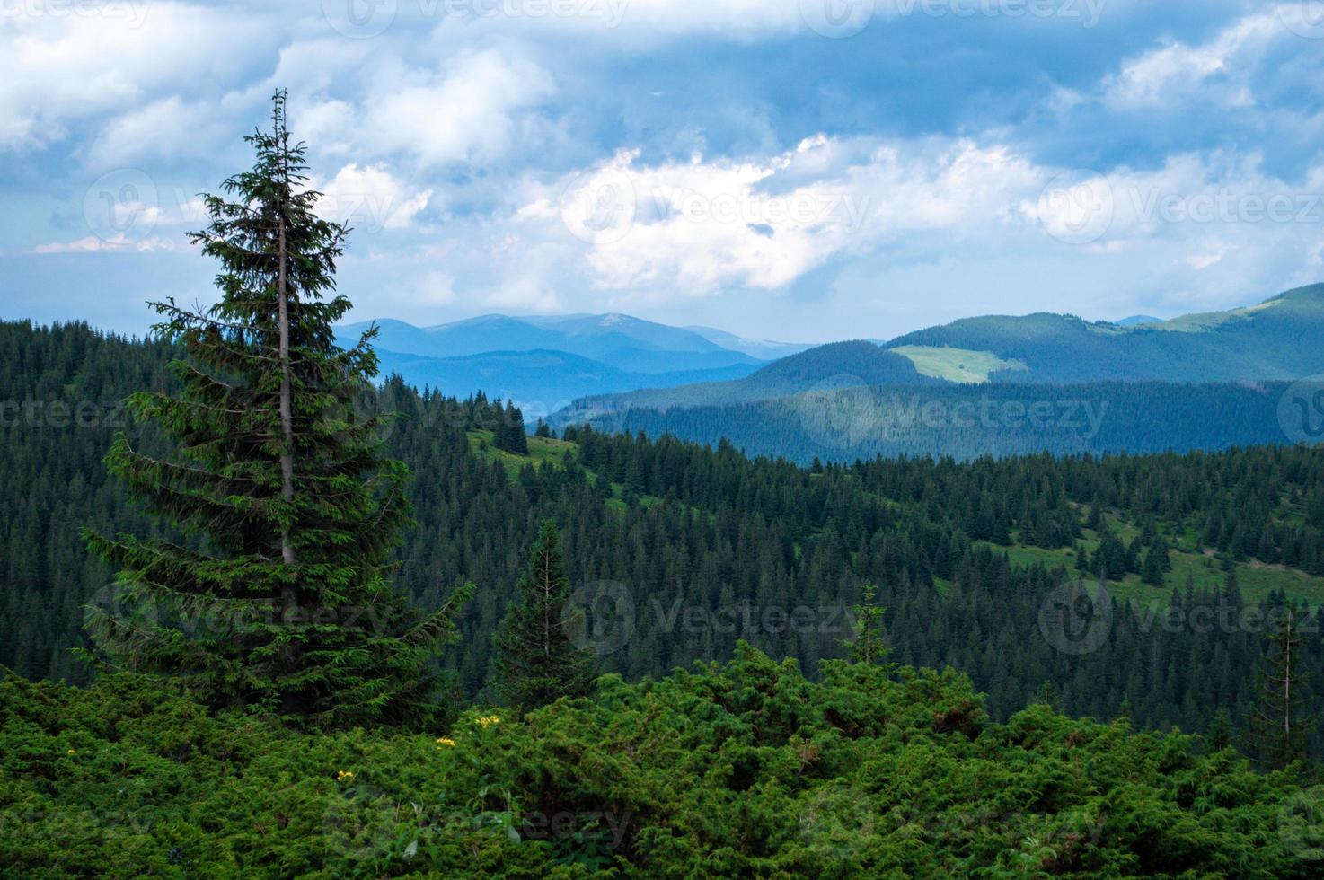 Karpatengebirgspanorama der grünen Hügel im Sommerberg foto