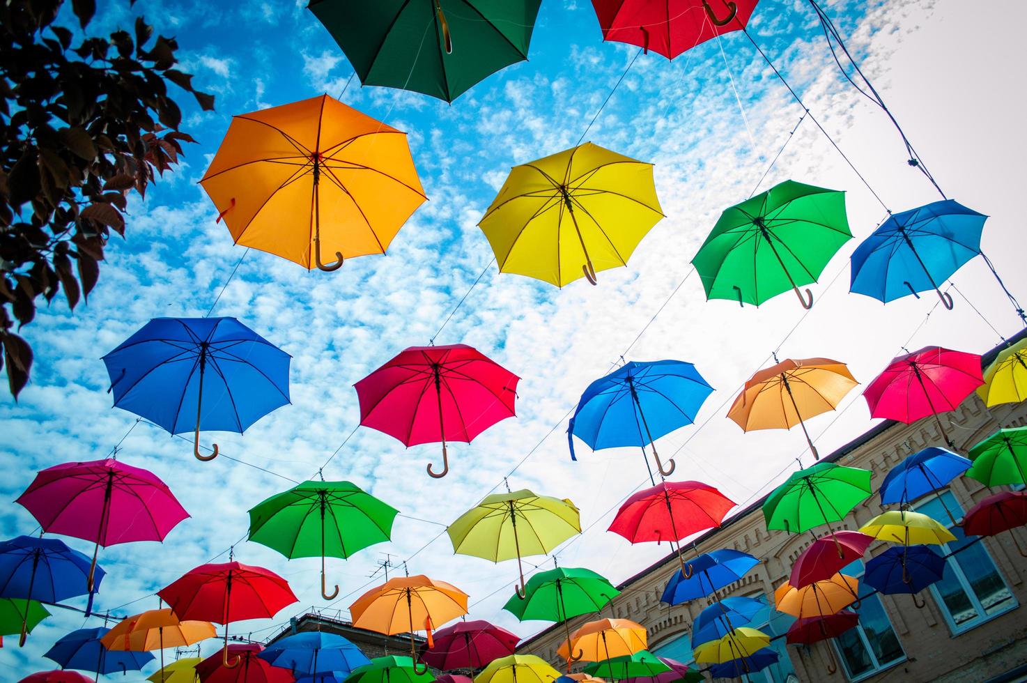 mehrfarbige Regenschirme mit blauem Himmel foto