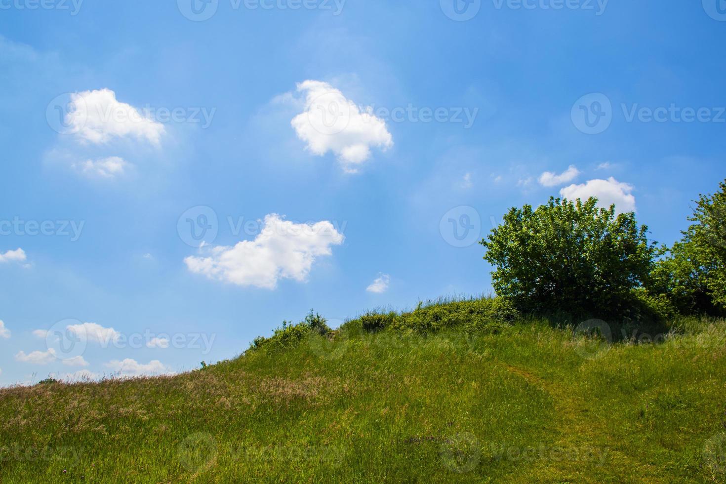 grüne Wiese mit weißen Wolken foto