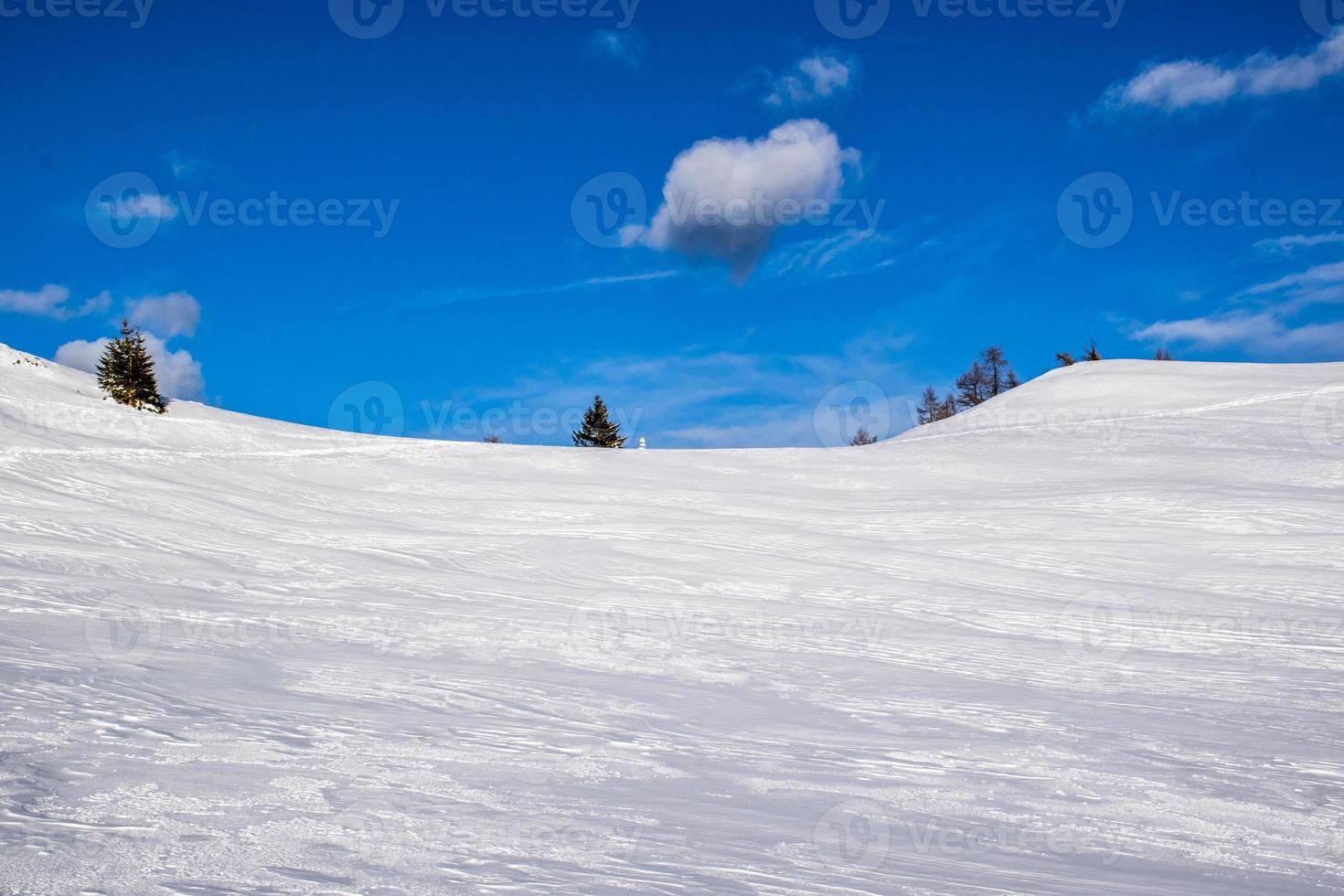Kiefern und Schnee in der Nähe von Cima Larici auf dem Asiago-Plateau, Vicenza, Italien foto