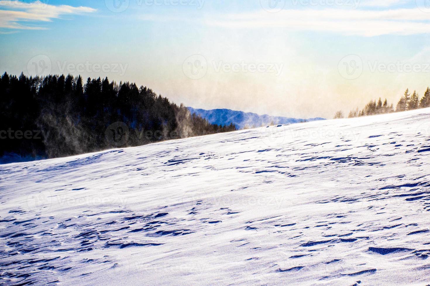 Kiefern und Schnee in der Nähe von Cima Larici auf dem Asiago-Plateau, Vicenza, Italien foto