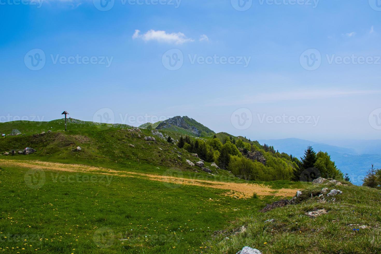 grüne Wiesen und gelbe Löwenzahnblüten zwischen den Alpen in Recoaro Mille foto