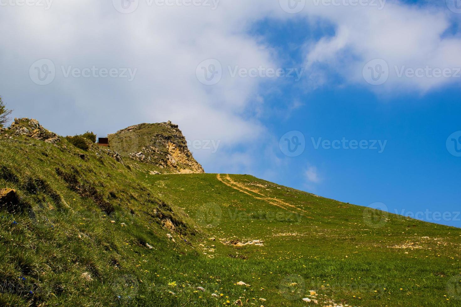 grüne Wiesen und gelbe Löwenzahnblüten zwischen den Alpen in Recoaro Mille foto