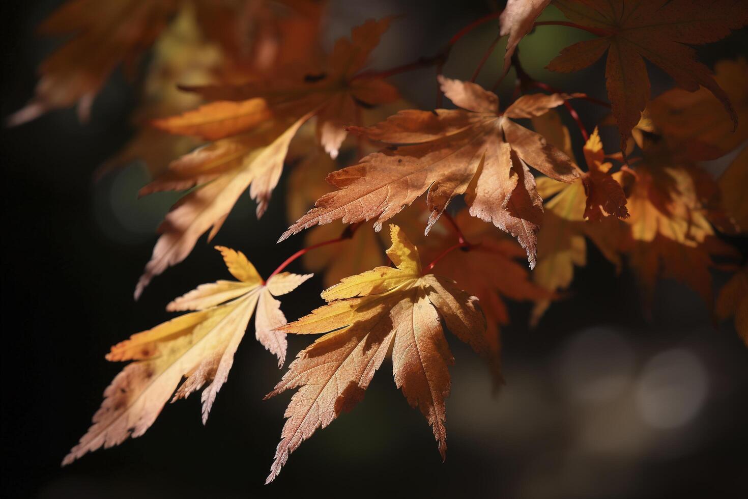 Herbst Ahorn Blätter im ein Reihe, lebendig Farben, ai generativ Panorama Illustration auf schwarz Hintergrund foto