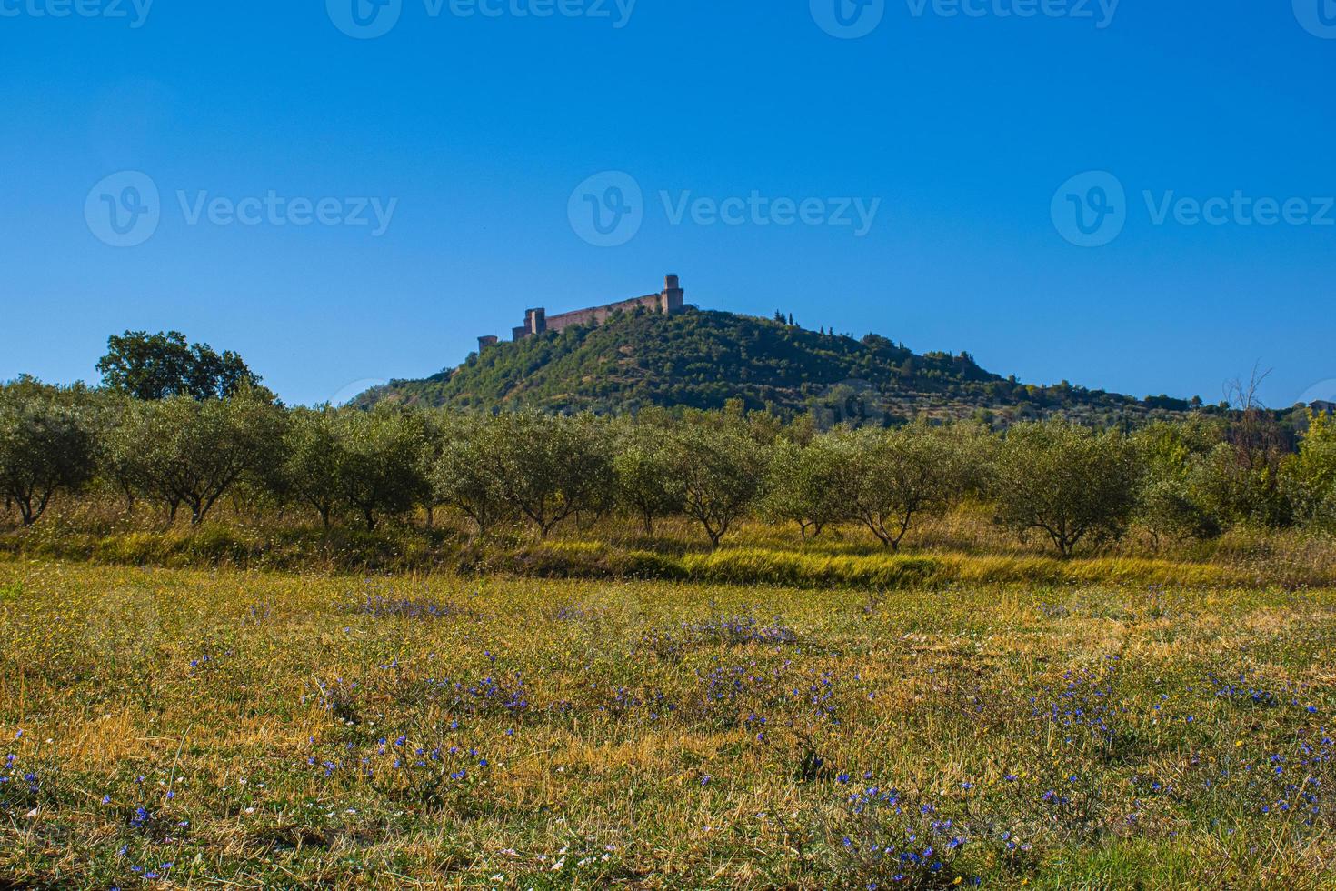 Panoramablick auf die Burg in Assisi foto