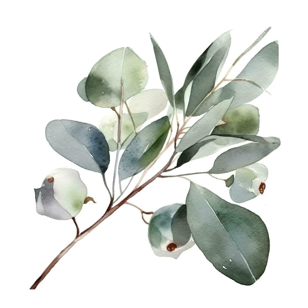 Eukalyptus Ast isoliert auf Weiß Hintergrund. eben legen, oben Sicht. Blumen- Konzept, generieren ai foto