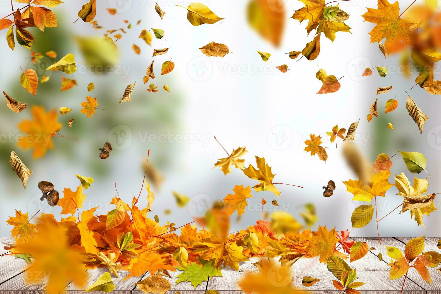 Herbst Komposition. Blätter auf Pastell- Beige Hintergrund. foto