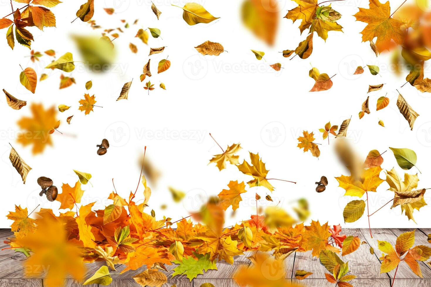 Stapel von Herbst farbig Blätter isoliert auf Weiß hintergrund.a Haufen von anders Ahorn trocken Blatt. rot und bunt Laub Farben im das fallen Jahreszeit foto