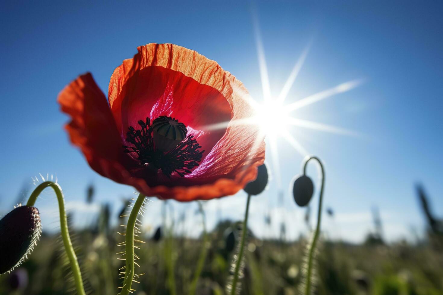 bunt Gänseblümchen isoliert auf Weiß Hintergrund, generieren ai foto