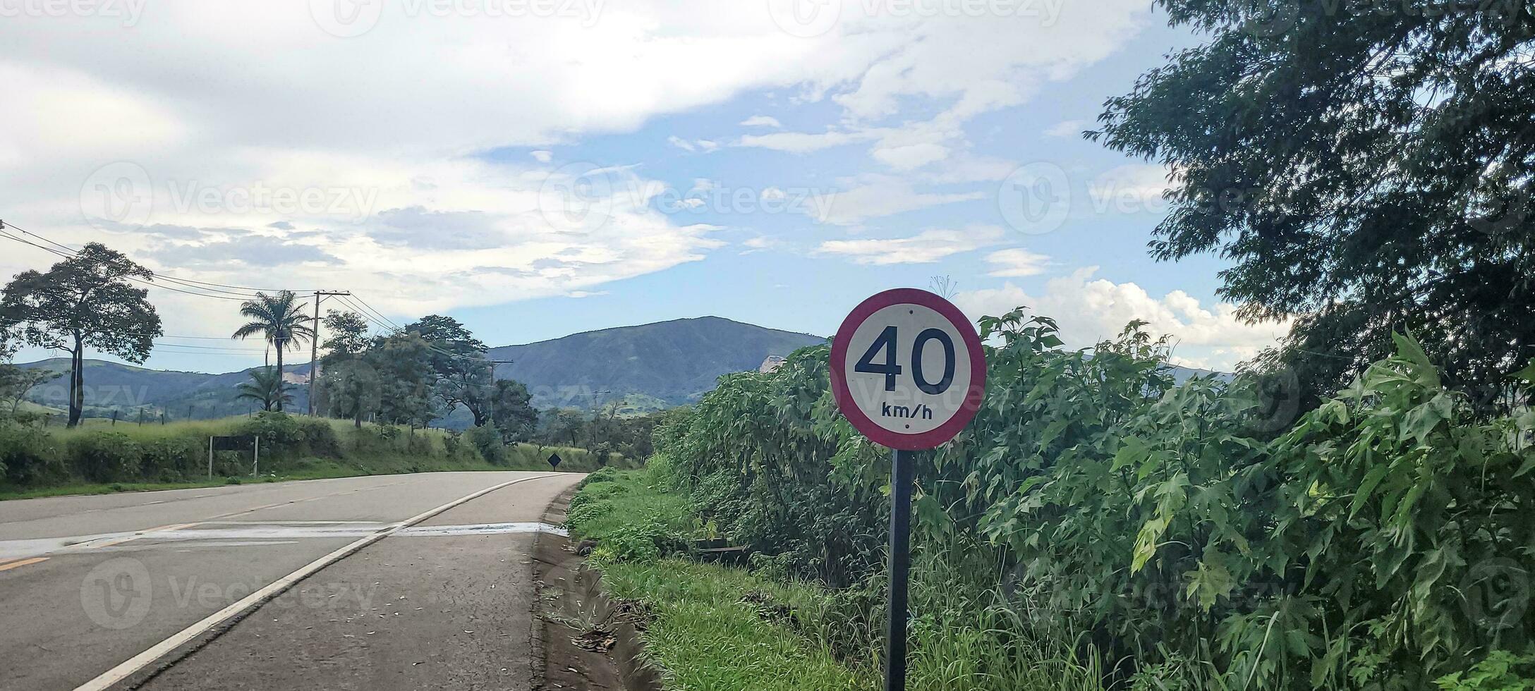 schön Straße mit Wald um foto