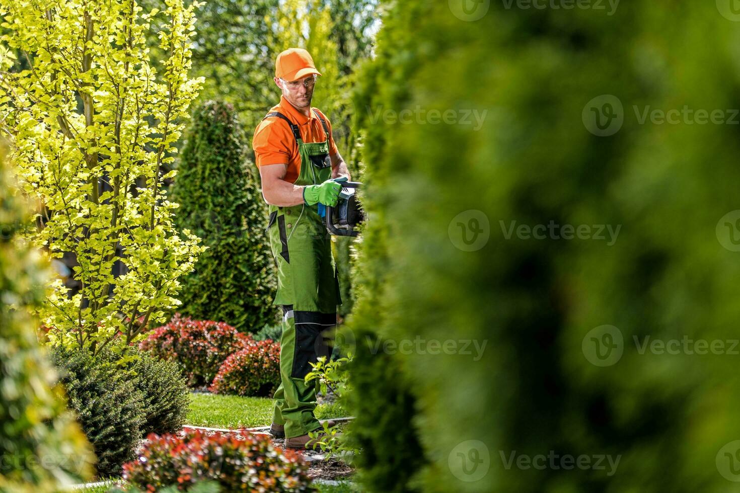 Hecke Trimmen Arbeit foto