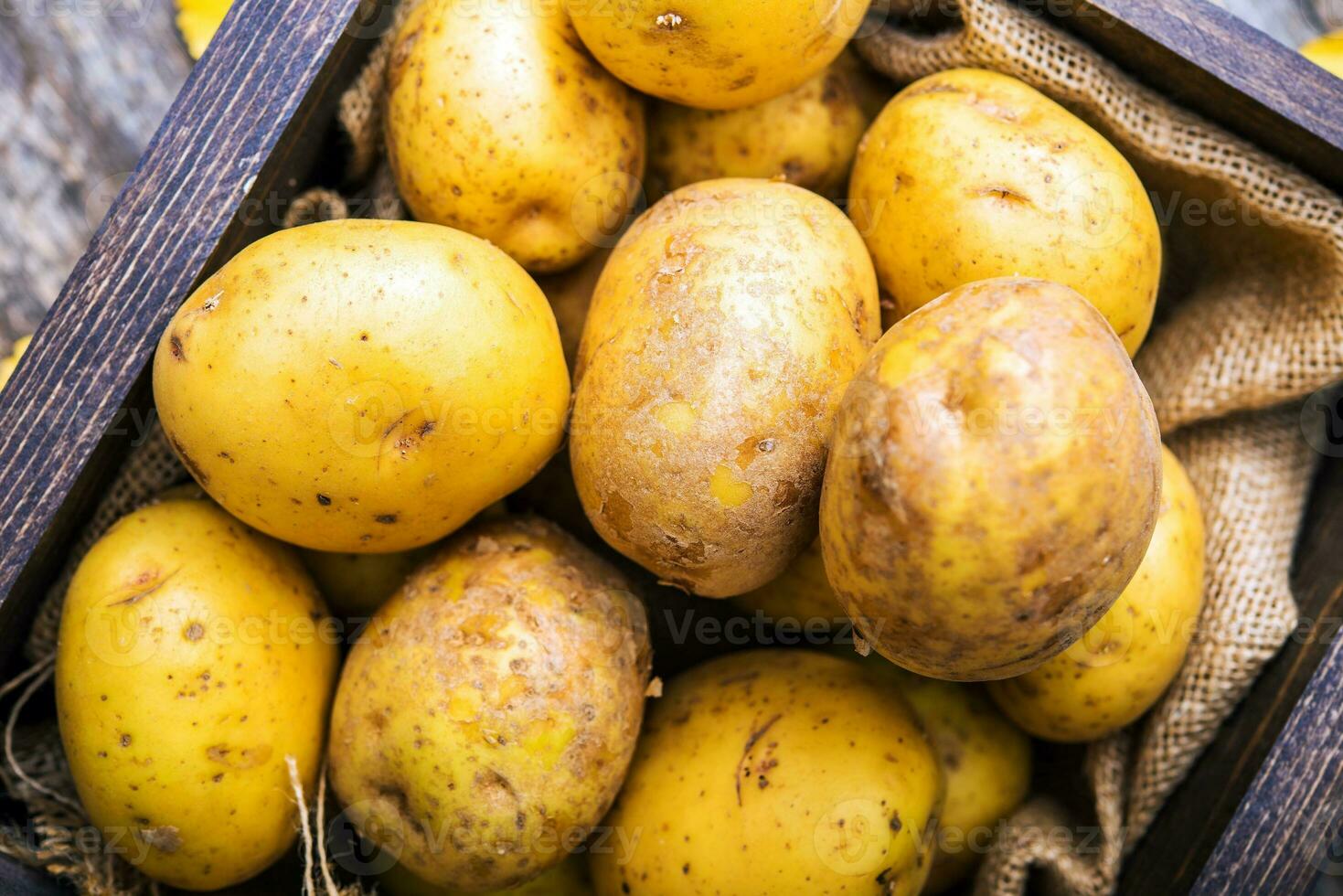 Idaho Kartoffeln Nahansicht foto