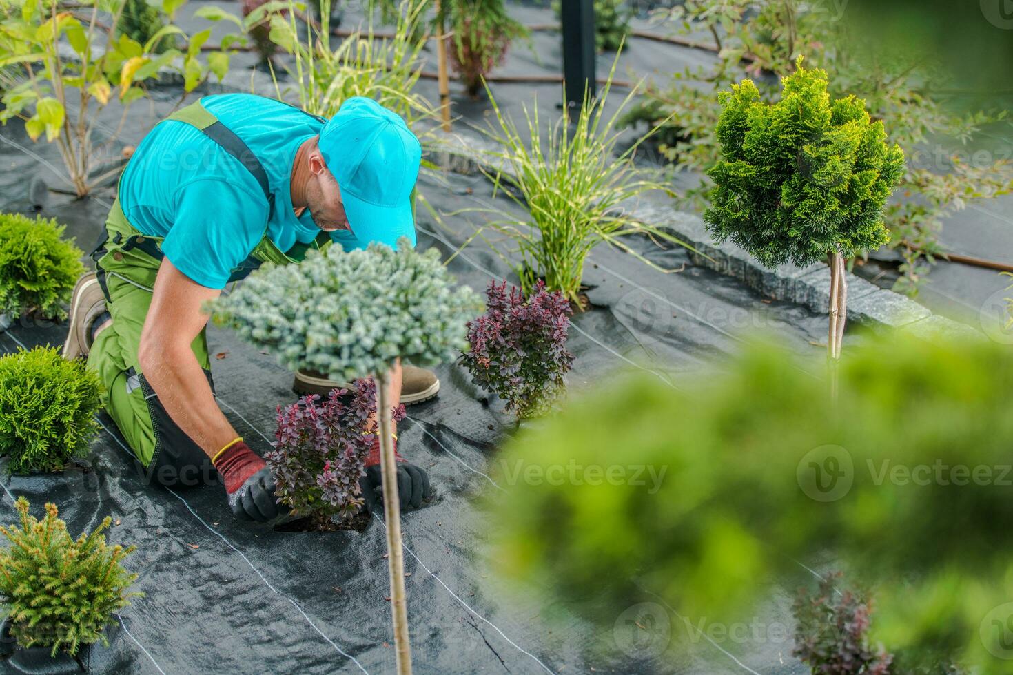 Gärtner durchführen Landschaftsbau Arbeit foto