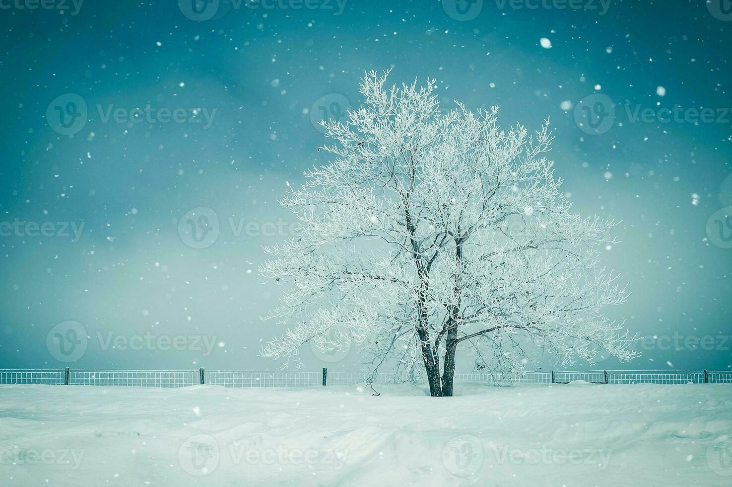 landschaftlich reizvolle Winterlandschaft foto