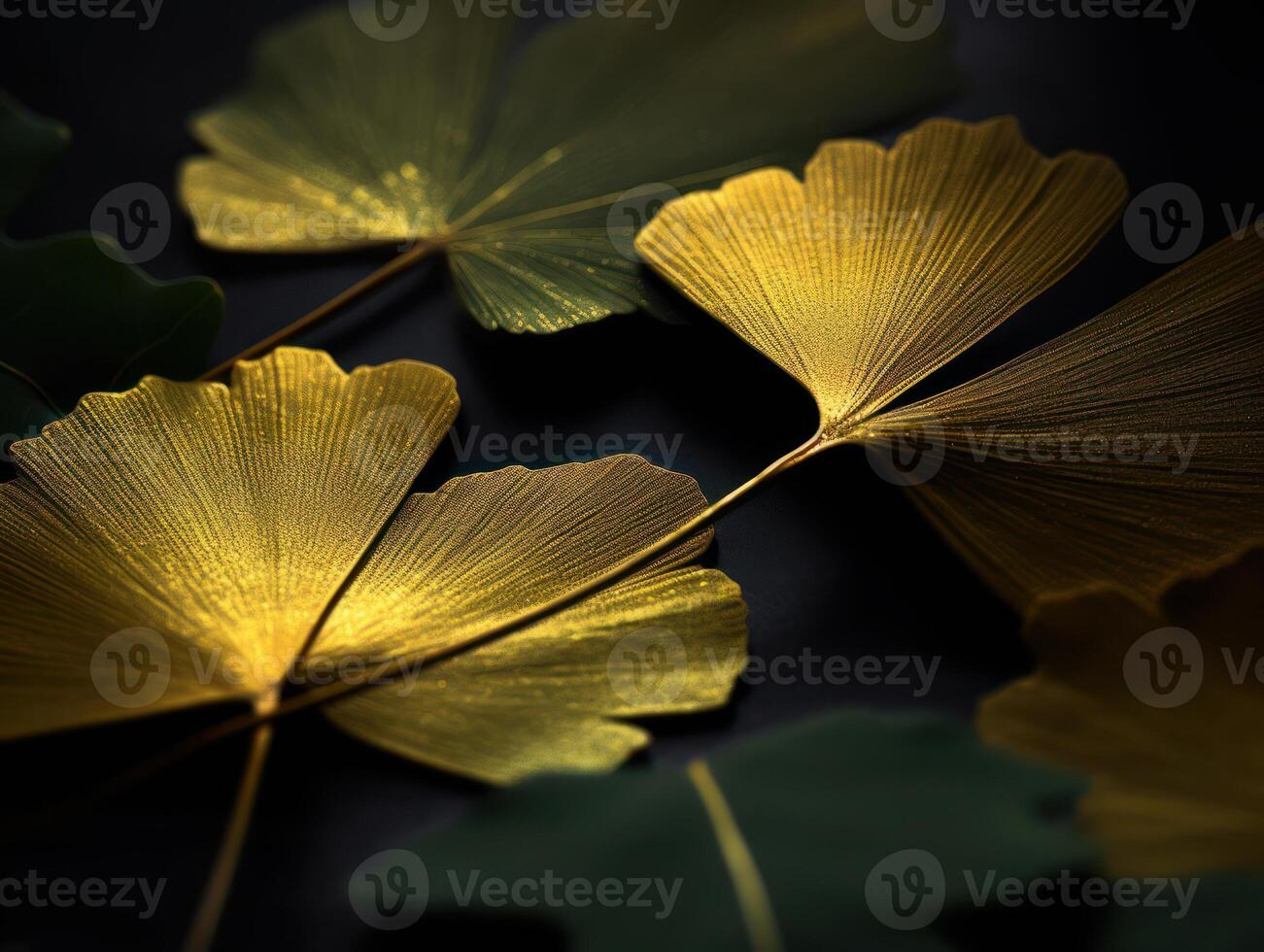 Ginkgo biloba Blätter dunkel Hintergrund erstellt mit generativ ai Technologie foto