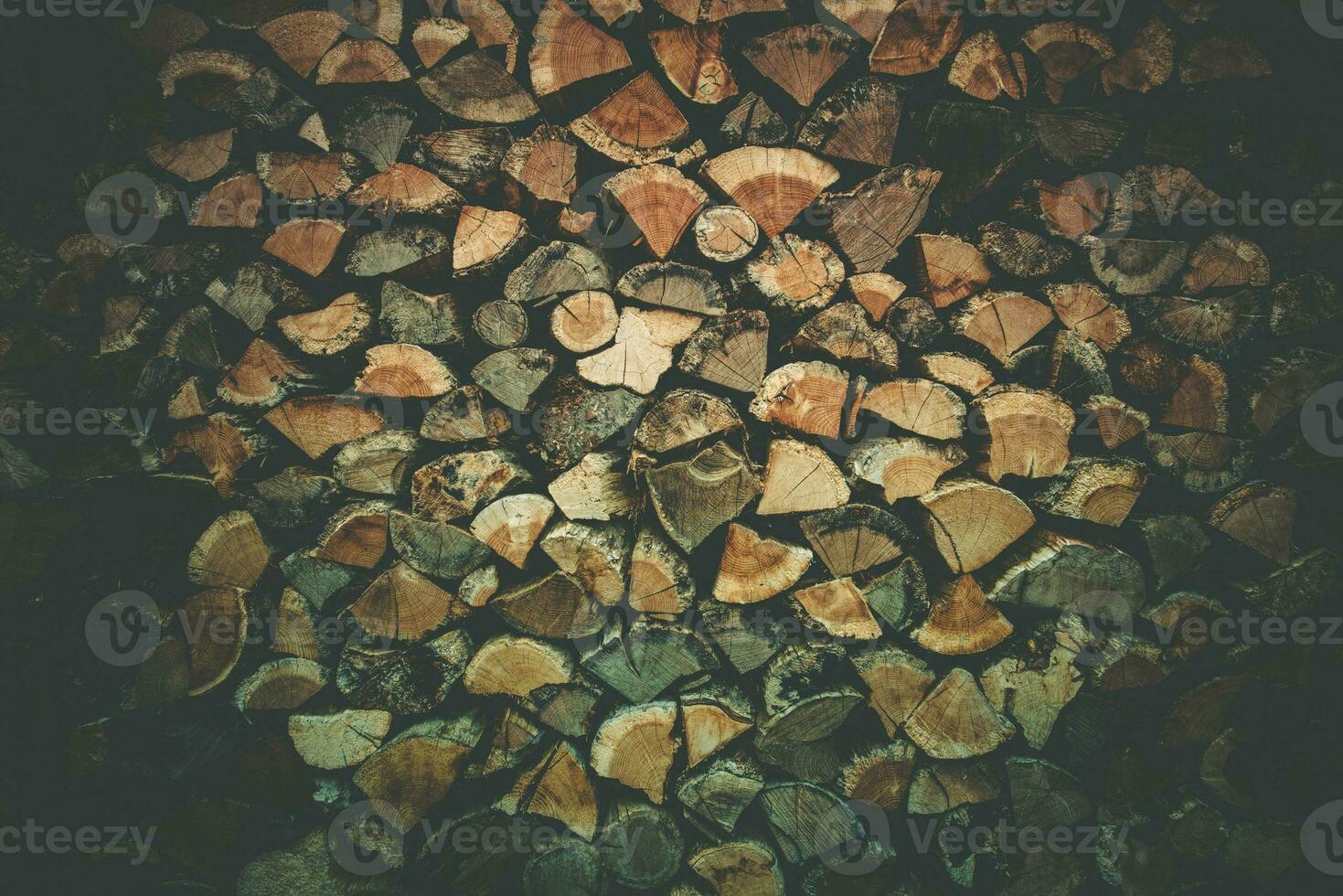 Brennholz Protokolle im ein Holzschuppen foto