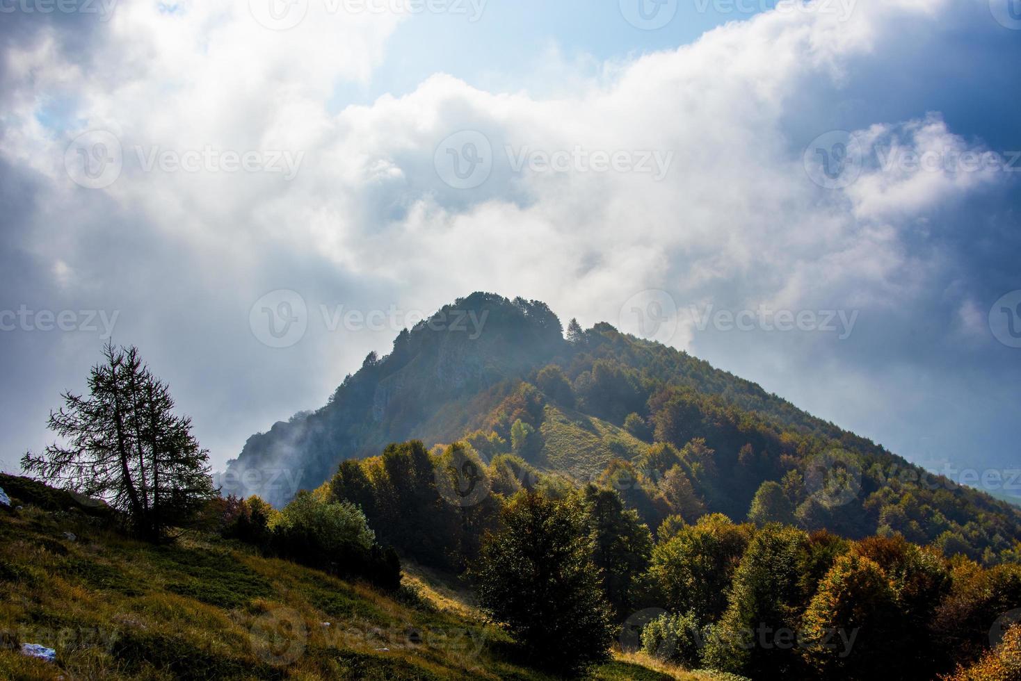 Bäume im Herbst mit Wolken foto