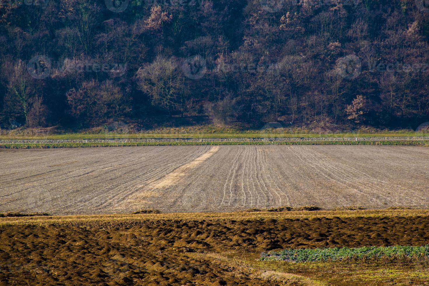 landwirtschaftliche Felder mit Wald foto