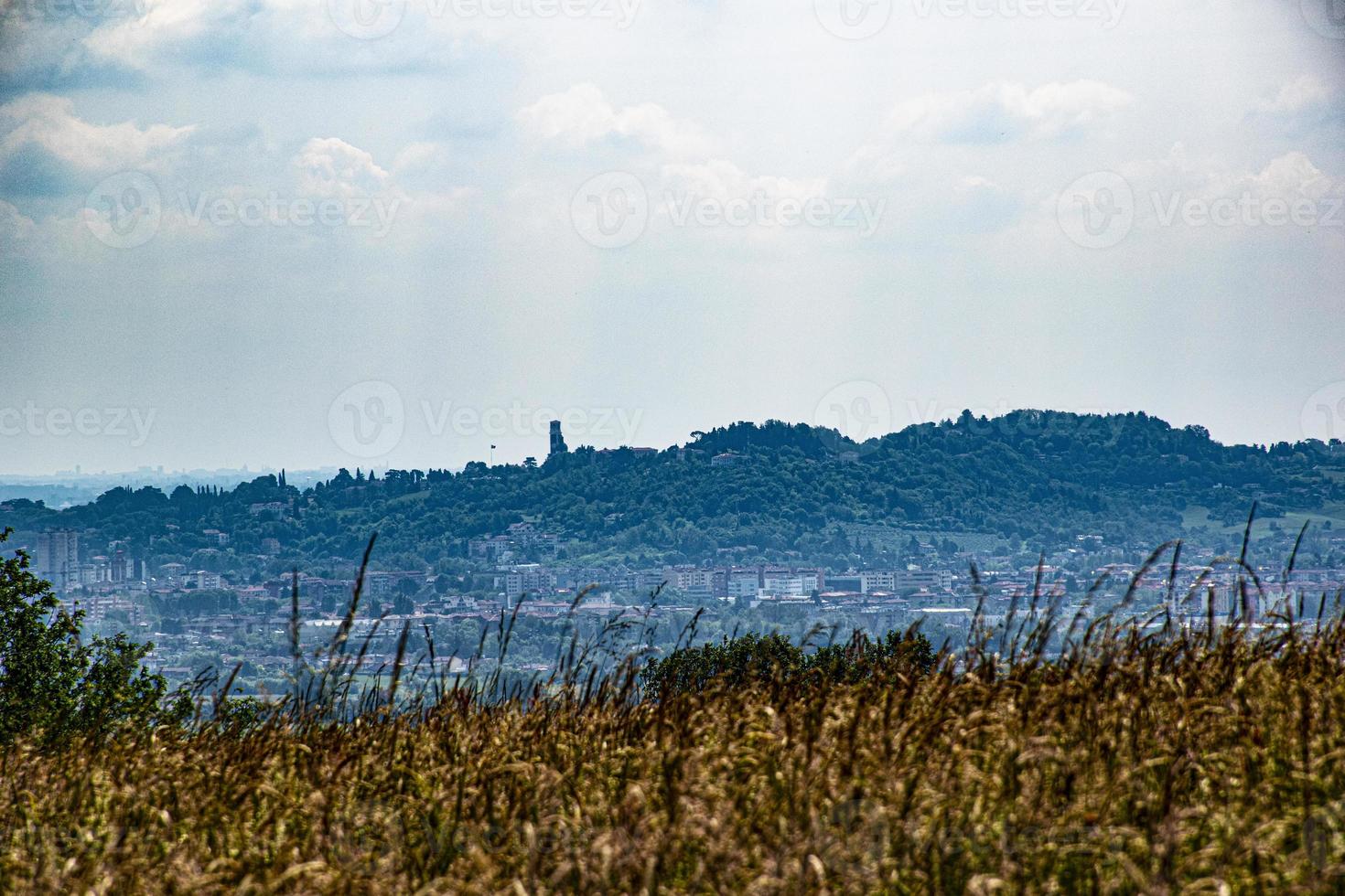 Ansicht von Monte Berico in Vicenza von einem Weizenfeld in Monteviale foto