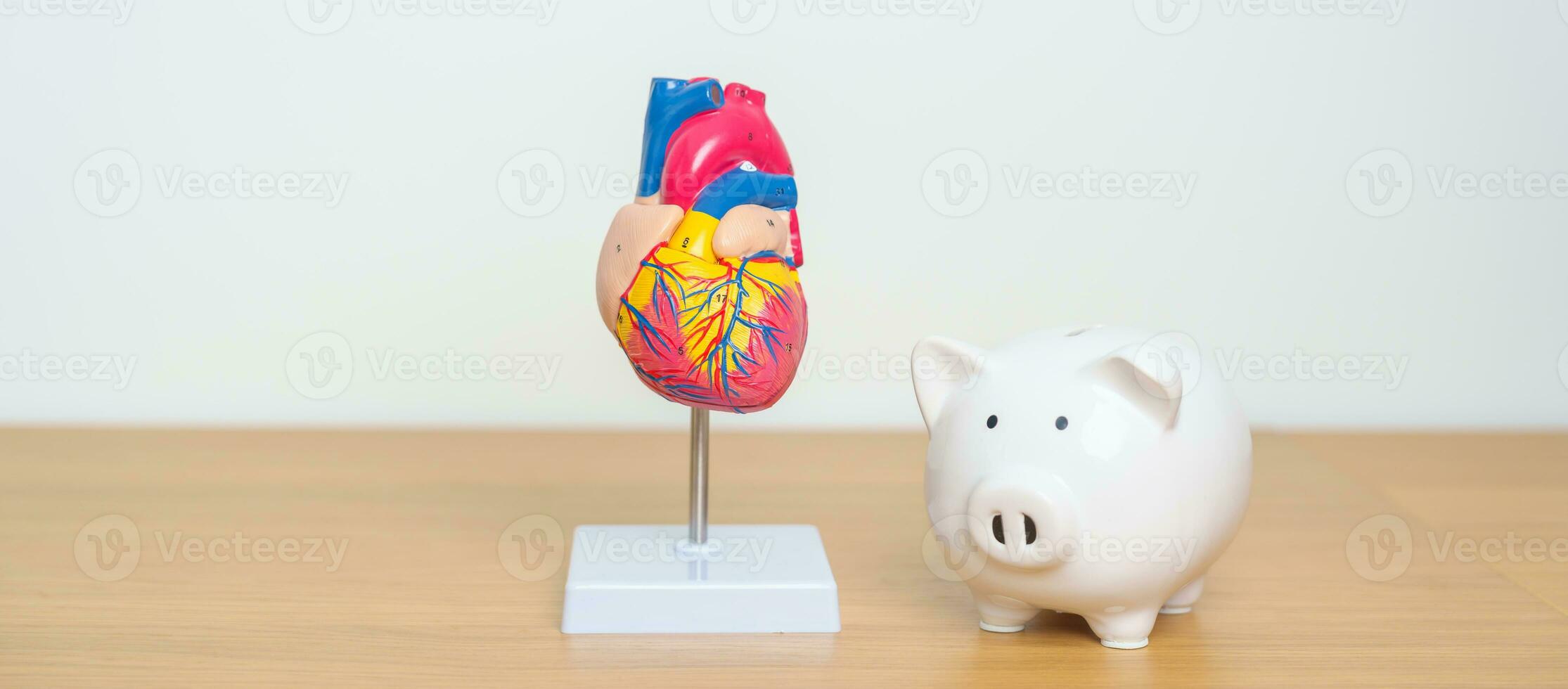 Herz Modell- mit Schweinchen Bank zum kardiovaskulär Krankheiten, Arteriosklerose, hypertensiv Herz, ventil Herz, aortopulmonal Fenster, Welt Herz Tag, Gesundheit, Spende, Wohltätigkeit, Geld Speichern foto