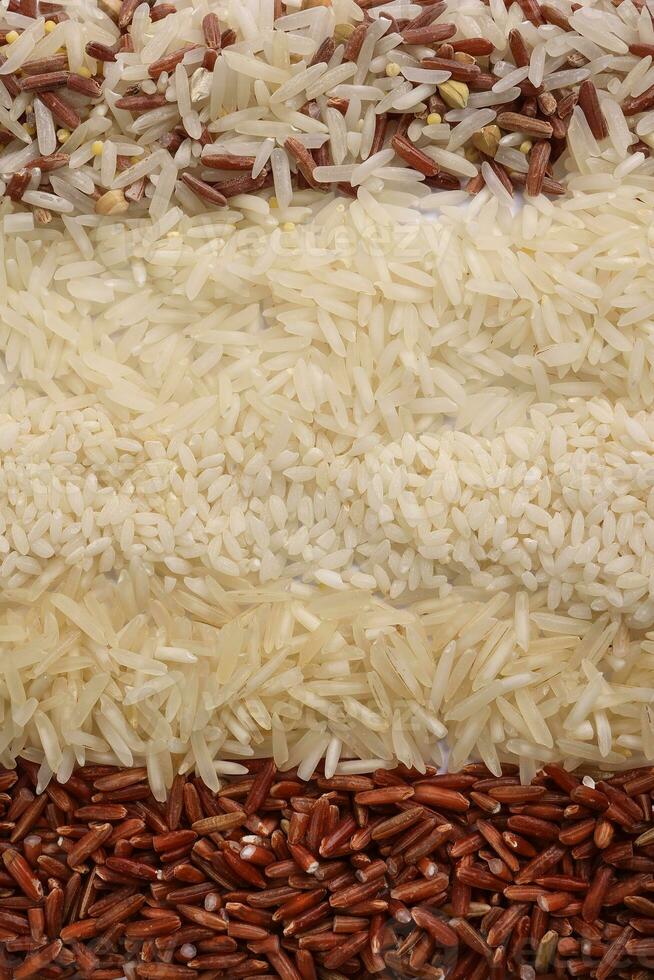 Vielfalt mischen lange Korn Basmati Mittel Korn Jasmin kurz Korn Pilaw Risotto braun niedrig glykämisch Index gi Reis im Reihen oben Aussicht foto