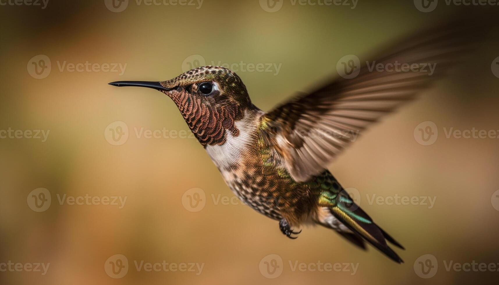 Kolibri schwebend, Verbreitung irisierend Flügel zum Bestäubung generiert durch ai foto