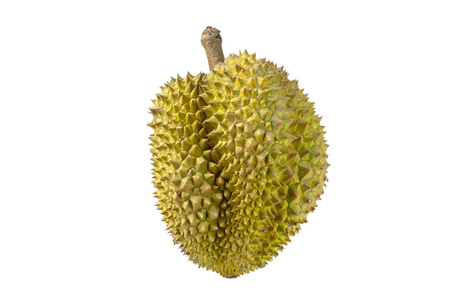 reifer Durian ist bereit, isoliert auf weißem Hintergrund zu essen foto