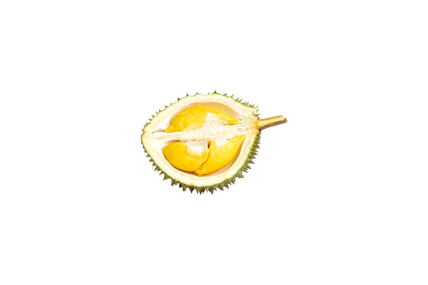 reifer Durian in zwei Hälften geschnitten ist bereit, auf weißem Hintergrund isoliert zu essen foto