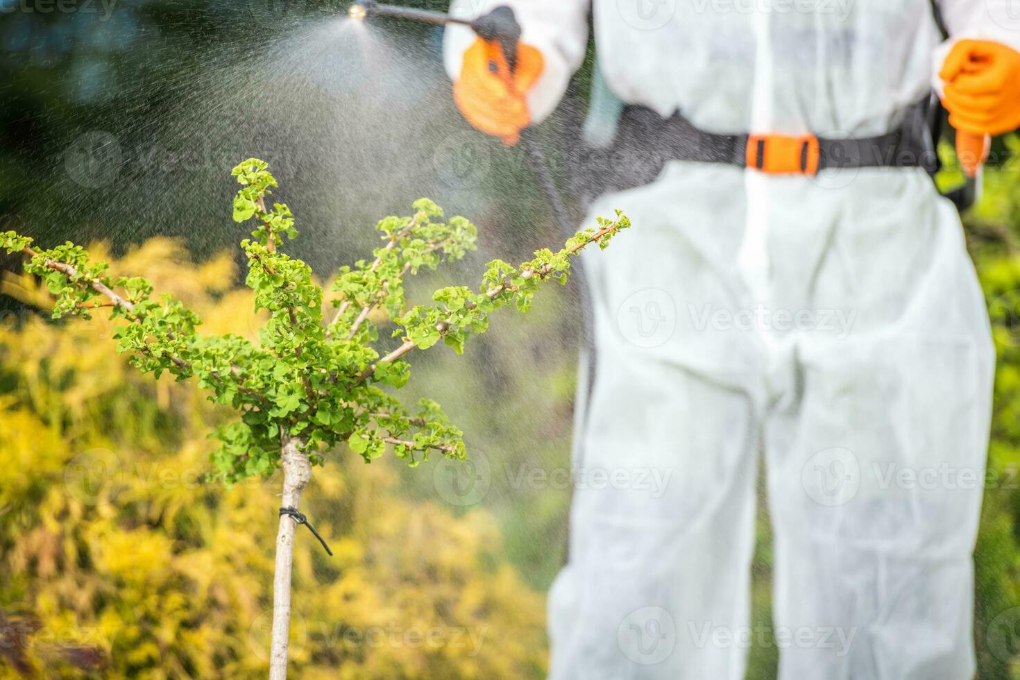 draussen Garten Pflanze Sprühen foto