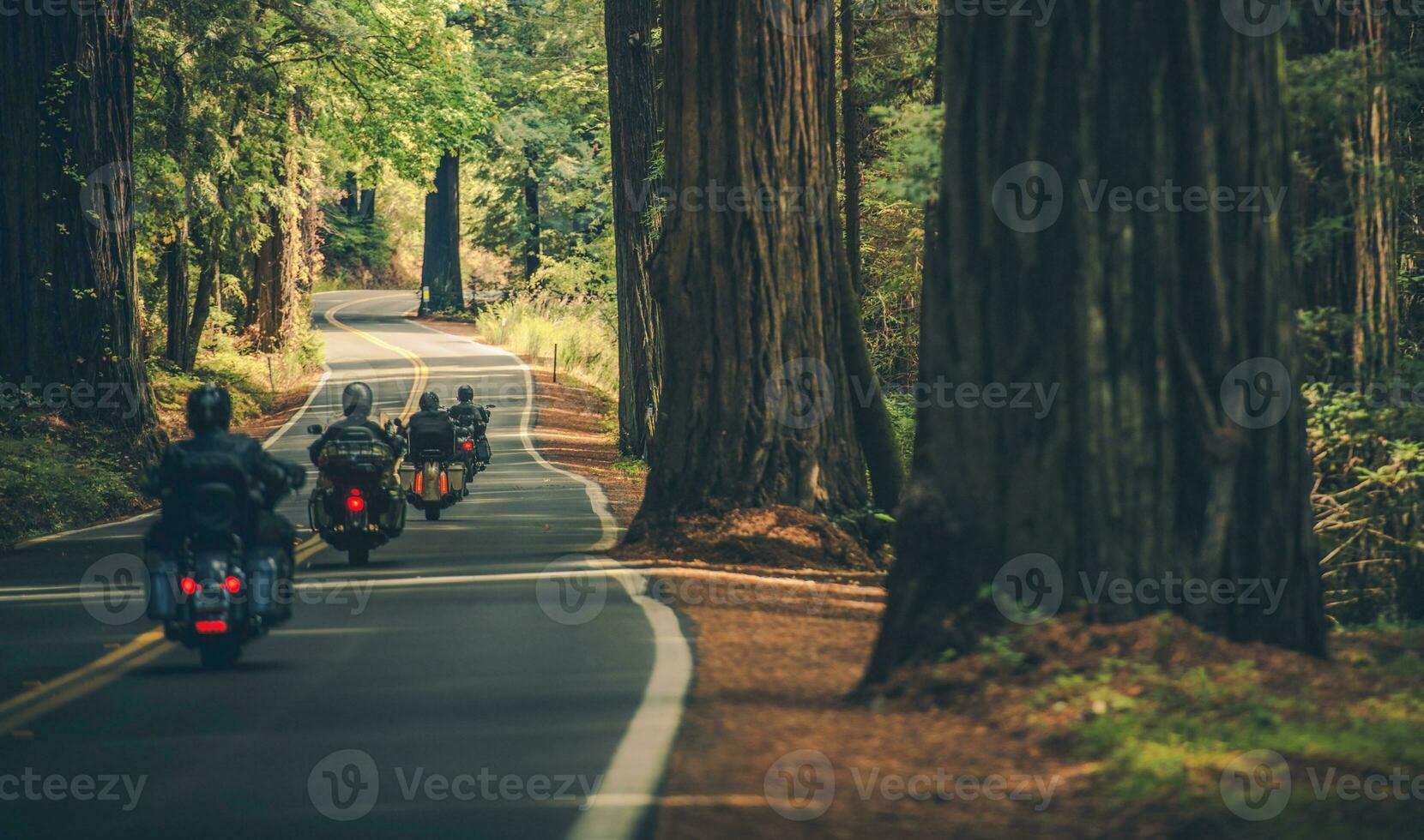 Motorrad Gruppe Touring durch das Redwood Autobahn foto